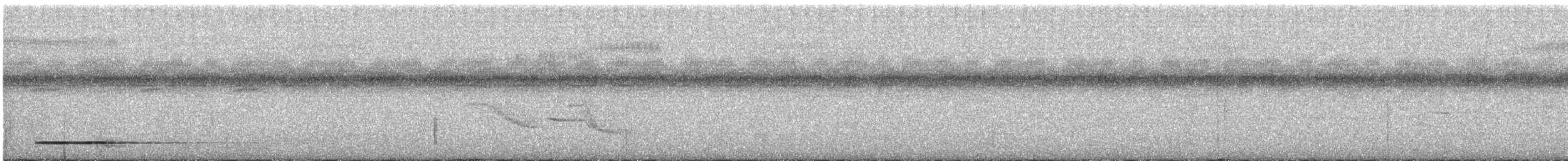 Thicket Tinamou - ML618912808