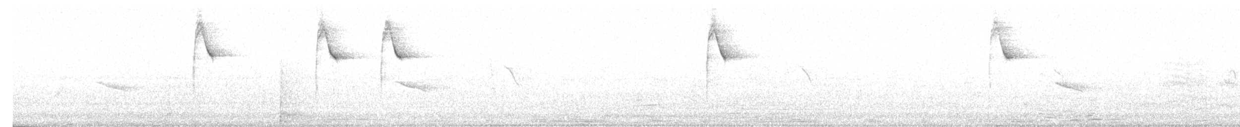 Paruline à paupières blanches - ML618914977