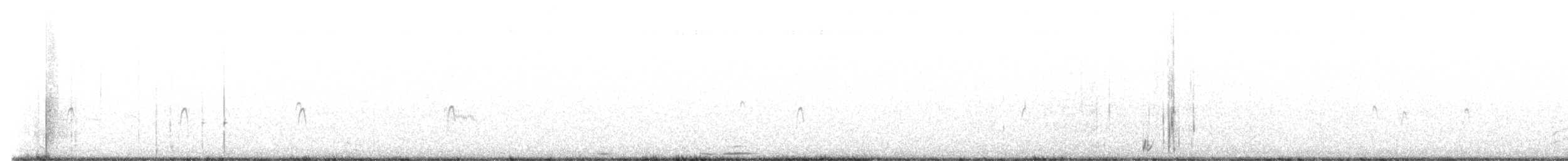 アメリカオオソリハシシギ - ML618915296