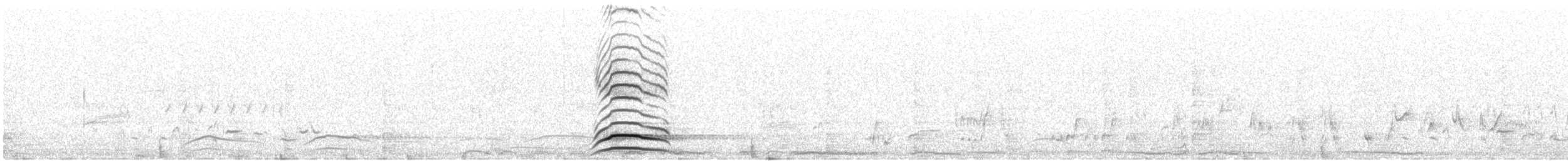 Gambel's Quail - ML618919051