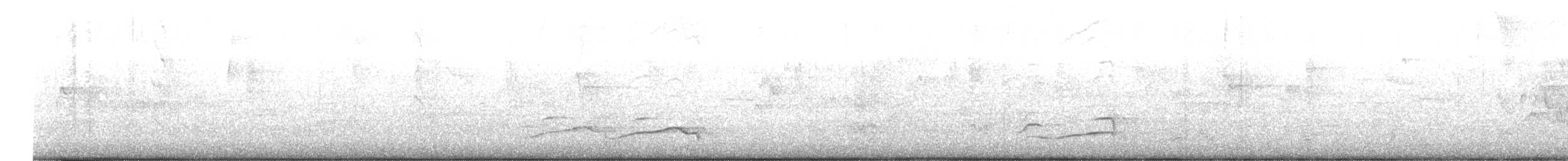 arawaktrost - ML618919374