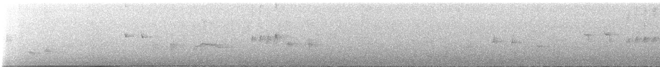 Mirlo Acuático Norteamericano - ML618919876