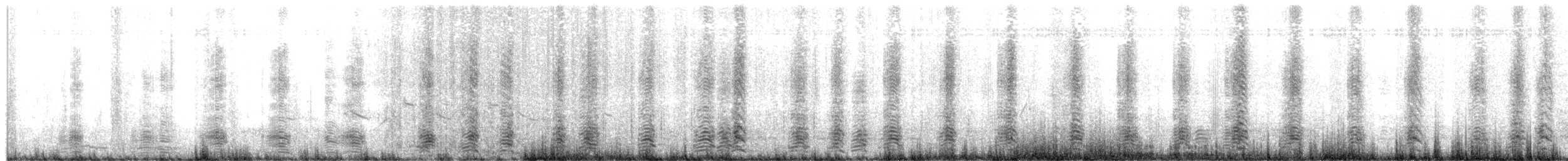 berneška bělolící - ML618920055