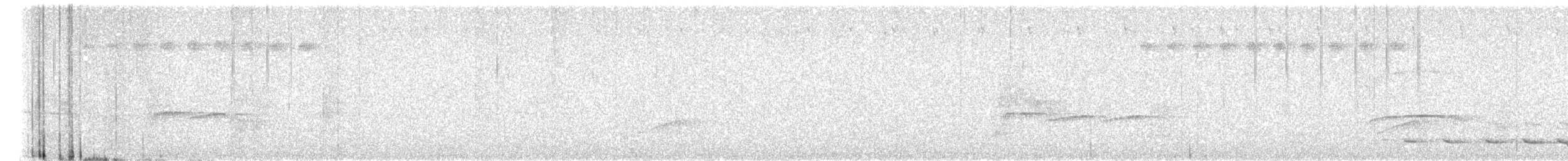 Kuzeyli Kara Gerdanlı Trogon - ML618920450