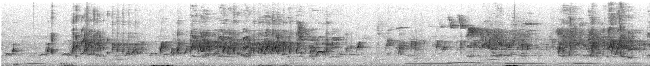 Schmalschnabel-Königstyrann - ML618920873