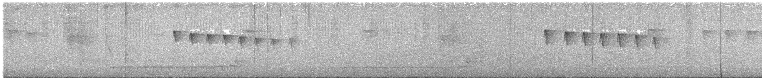 ホシノドヒメアリサザイ - ML618920890