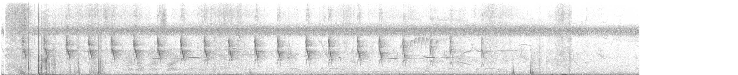 Streifenkuckuck - ML618923927