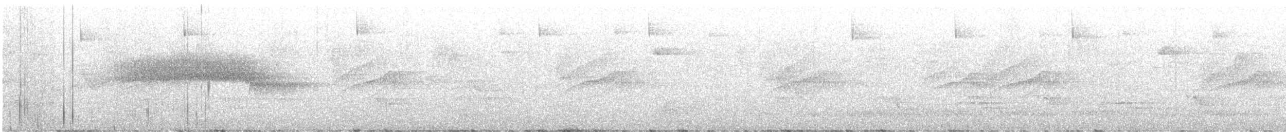 Black-throated Gray Warbler - ML618924783