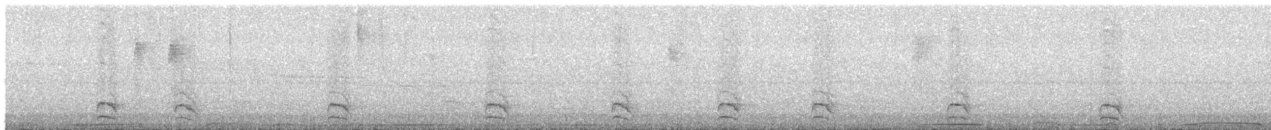 Olivgrau-Ameisenvogel - ML618924800