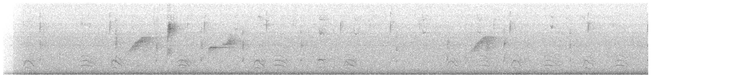 Graubauch-Dickichtschlüpfer - ML618924820