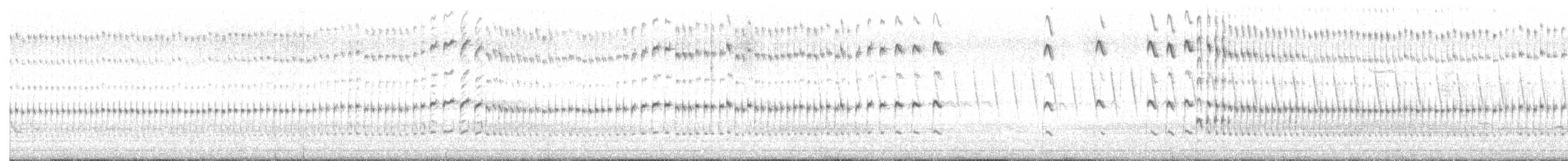 חופמי כפול-צווארון - ML618925809