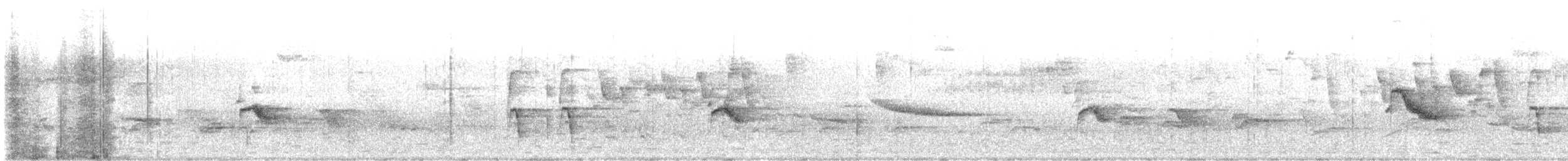 Gray-cheeked/Bicknell's Thrush - ML618926246