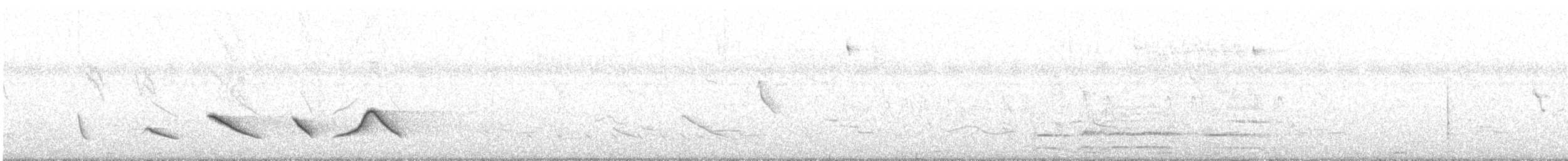 Зернолуск смугастоволий - ML618926379