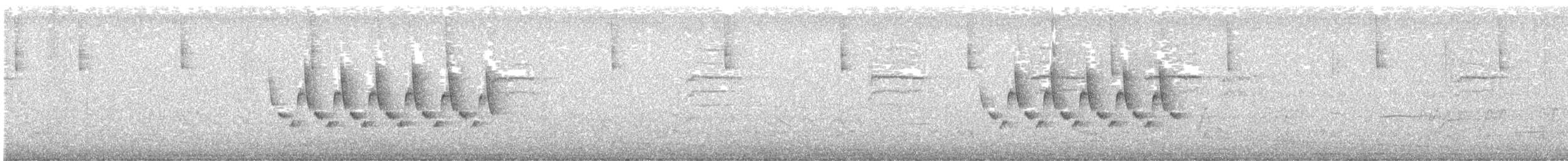 Поплітник каролінський - ML618929971