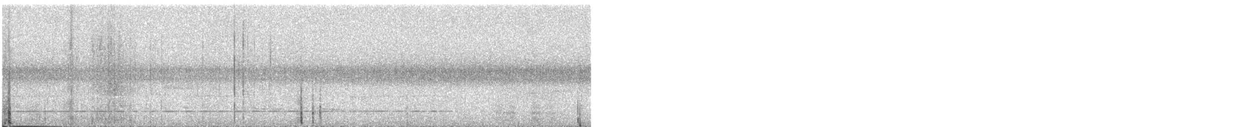 Bindenbrust-Ameisendrossel - ML618932251
