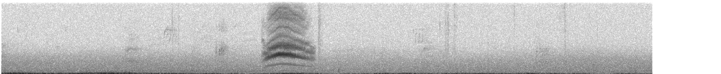 Тауї плямистий - ML618933004