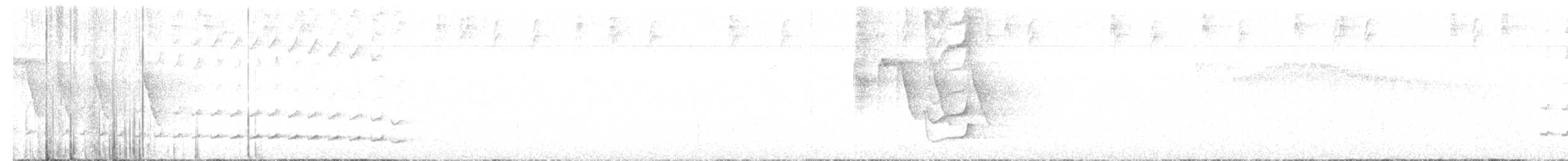 perletreløper - ML618933322