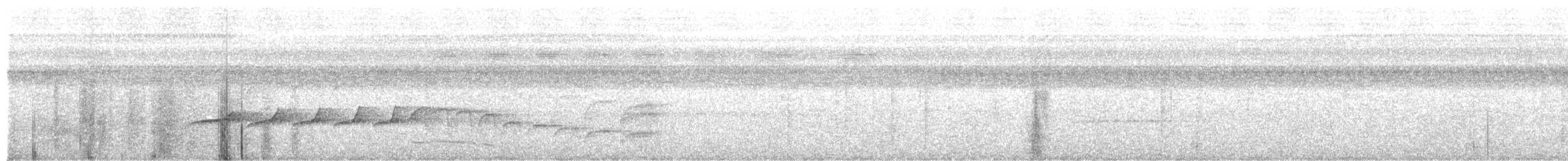 Braunweiß-Ameisenvogel - ML618935160