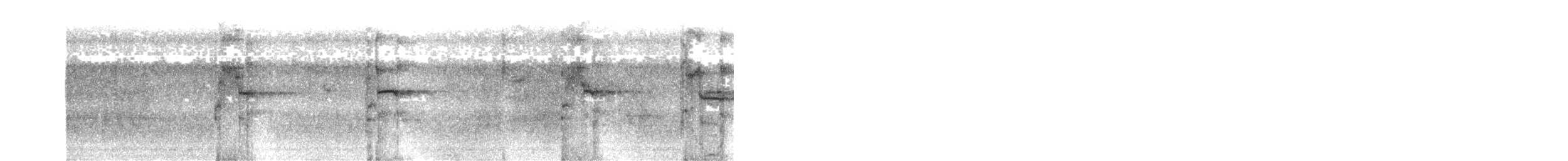 arassari hnědouchý - ML618936944