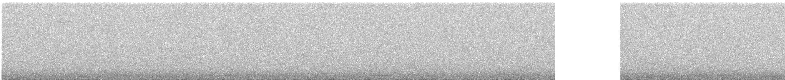 ニシアメリカフクロウ（caurina） - ML618938534