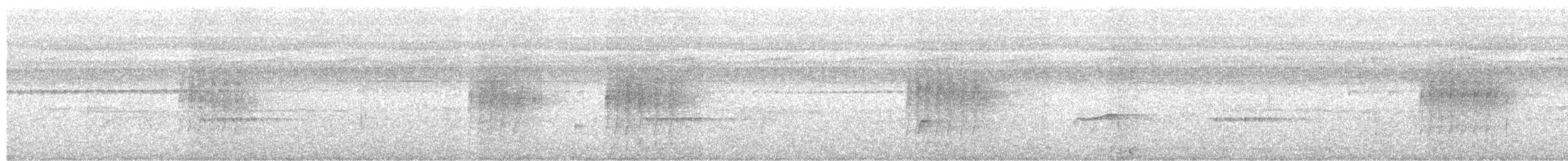 Dreibinden-Ameisenvogel - ML618938607