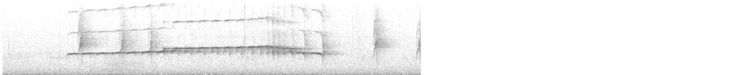 Halsband-Ameisenvogel - ML618938626