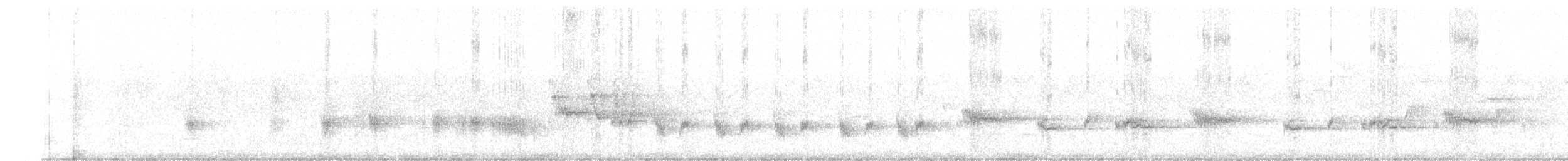 ノドグロハチマキミツスイ - ML618939370