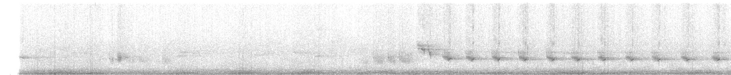 ノドグロハチマキミツスイ - ML618939371