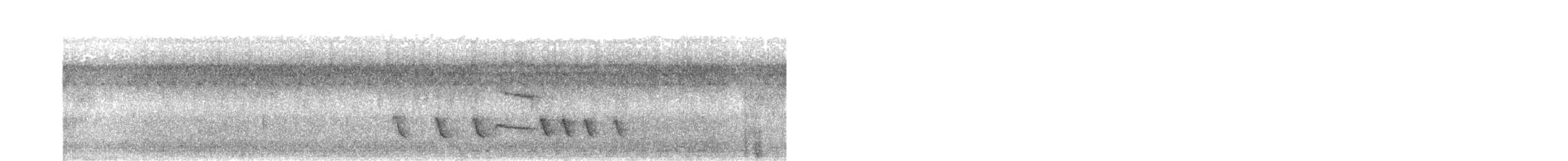 Белокрылый бекард - ML618942752