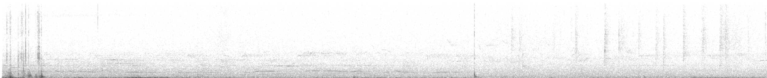 holub klínoocasý - ML618943960