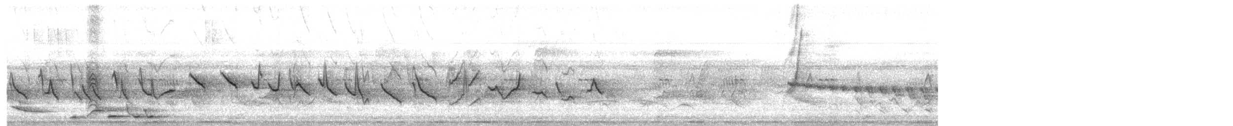 Kestane Karınlı Koca Tohumcul - ML618944168