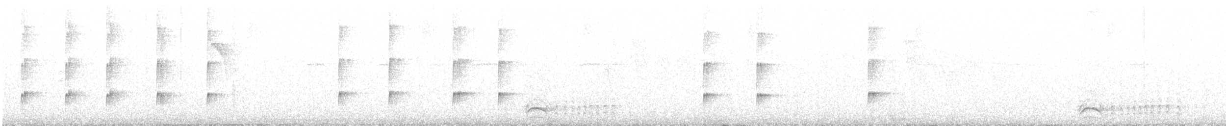Тиранчик-чубань західний - ML618945028