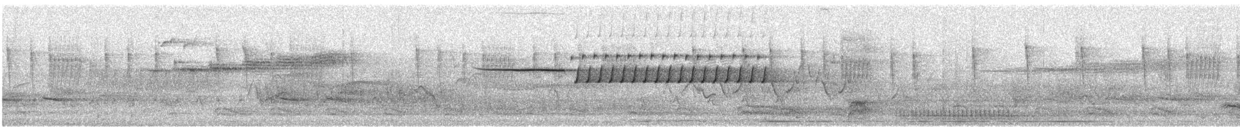 Bachman's Sparrow - ML618945685