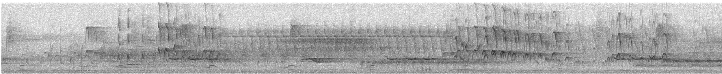 Red-cockaded Woodpecker - ML618945878