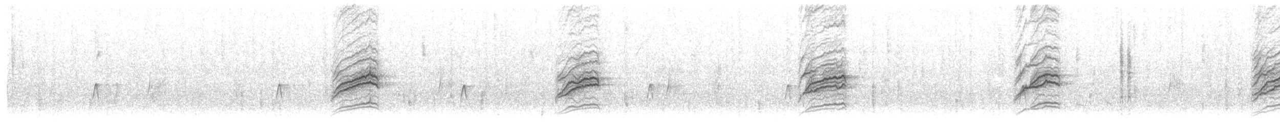 Дрізд-короткодзьоб плямистоволий - ML618946878