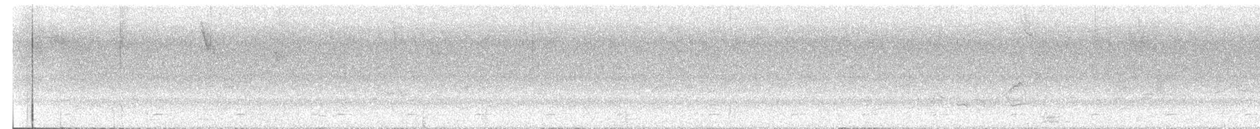 Weißbauch-Dickichtschlüpfer - ML618947477