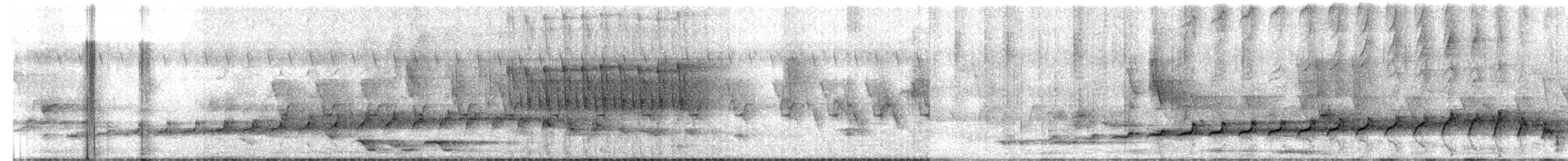 Вилохвостая дронговая кукушка - ML618947997