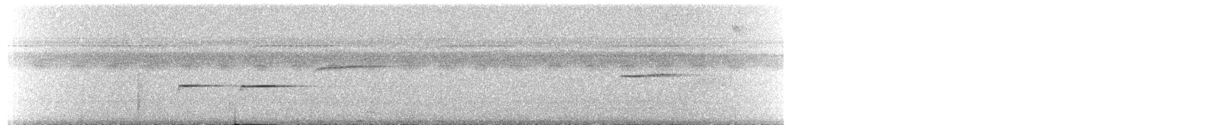 Troglodyte siffleur - ML618948264