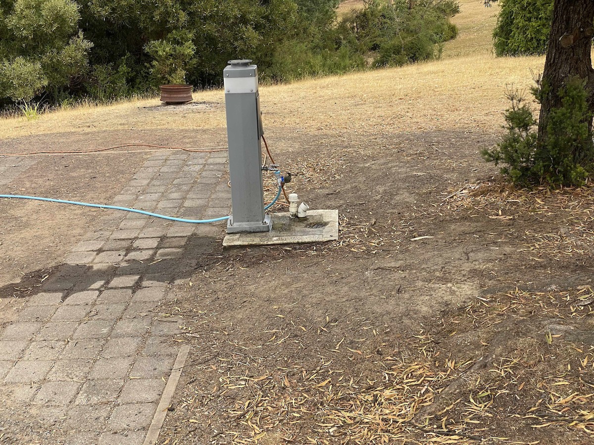 Yellow-throated Honeyeater - ML618948436