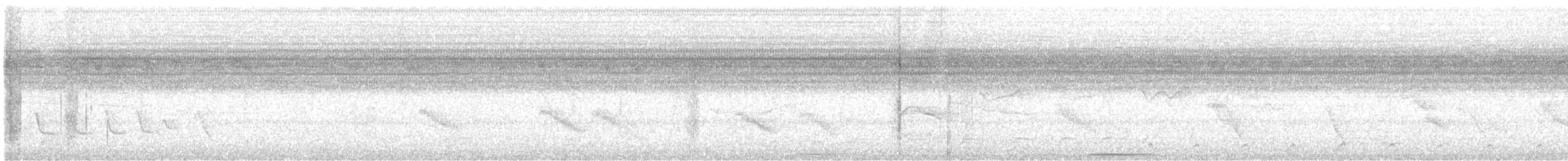 Белокрылый бекард - ML618951016