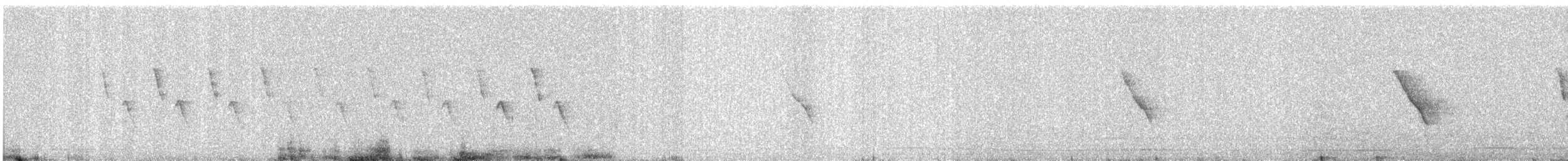 langhaleskredderfugl - ML618951364