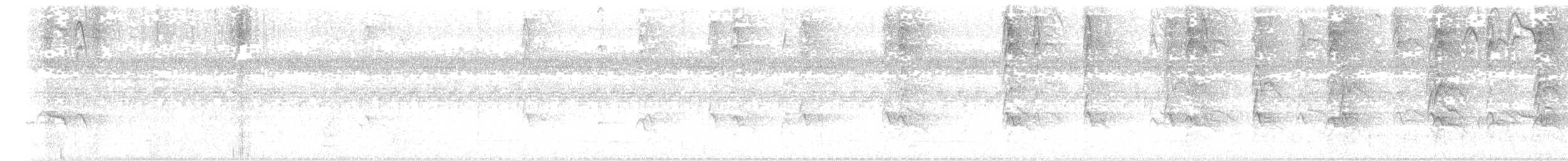 Ganso del Orinoco - ML618952460