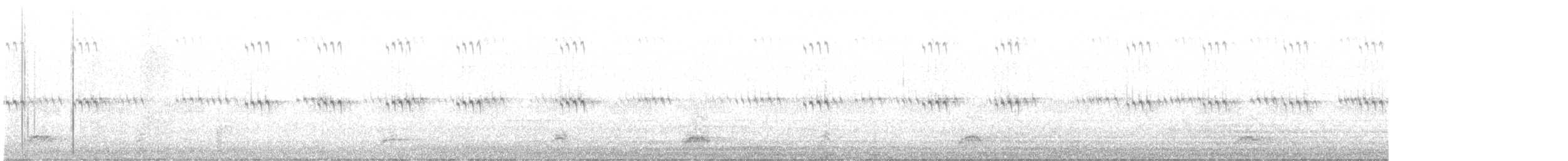 Black-crowned Night Heron - ML618952547