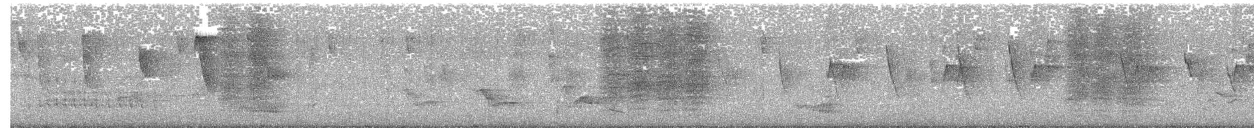 Brown-throated Parakeet - ML618952712