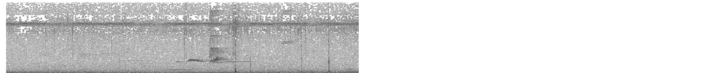 Cinnamon Attila - ML618953051