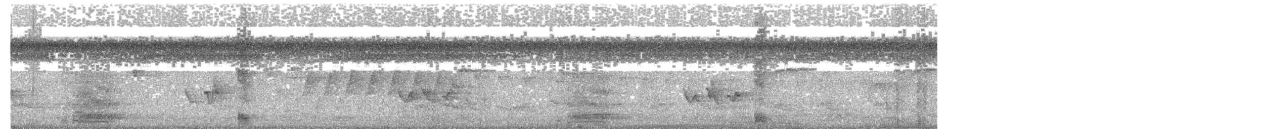 Greater Ani - ML618953349