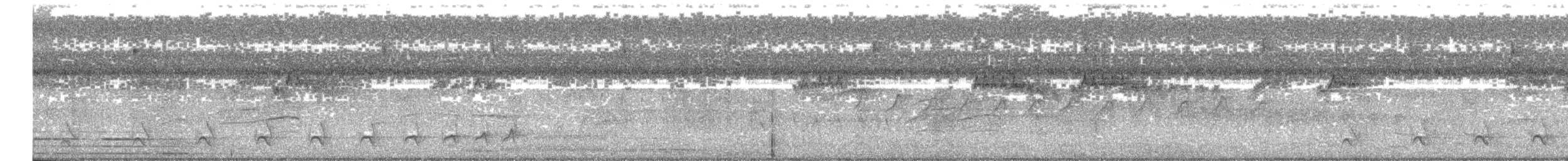 Black-crested Antshrike - ML618953399