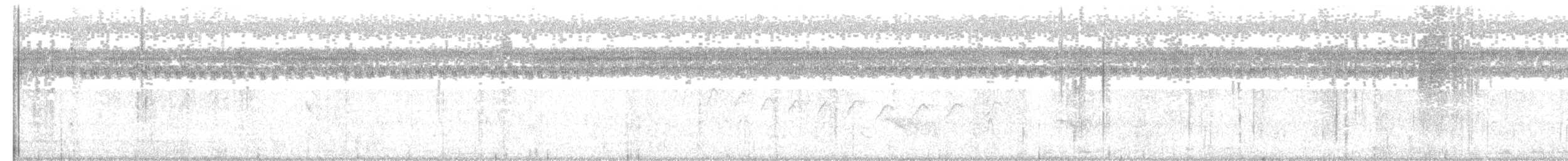 Tropical Gnatcatcher - ML618953576