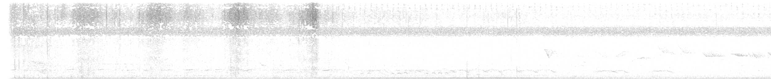 Острохвостый ибис - ML618953768