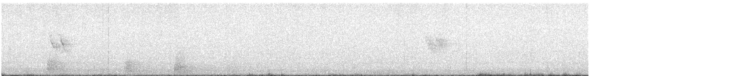 White Wagtail - ML618955159